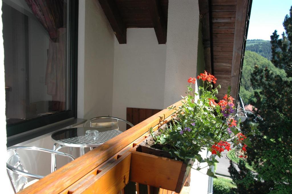 Pension Haus Diefenbach ไฮม์บาค ห้อง รูปภาพ